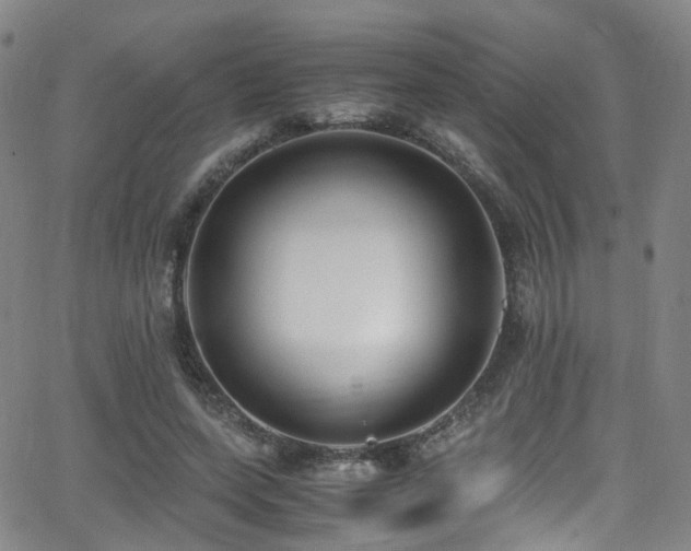 X0000062930543200601131514