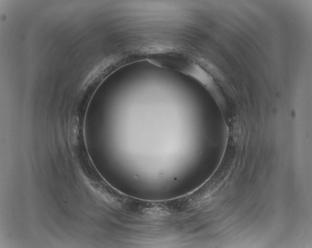 X0000062930544200601131514