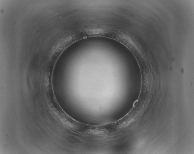 X0000062930545200601131514