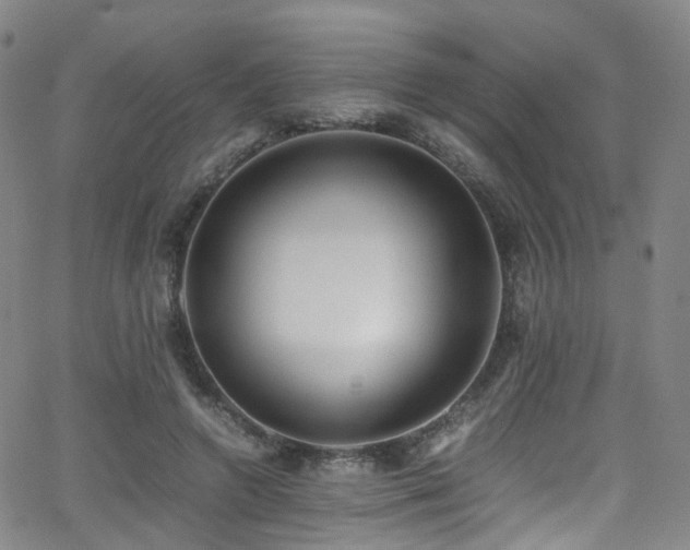 X0000062930546200601131514