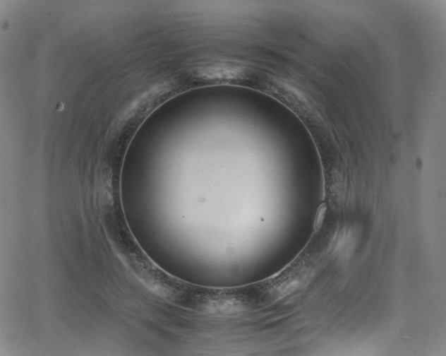 X0000062930547200601131514