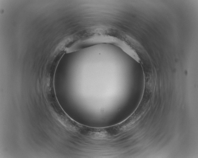 X0000062930548200601131514