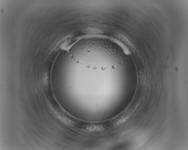 X0000062930549200601131514