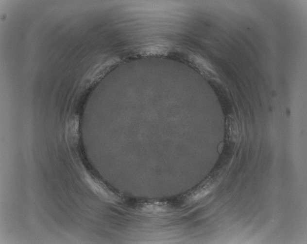 X0000062930550200601131514