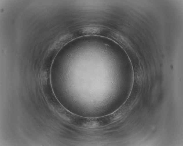 X0000062930551200601131514