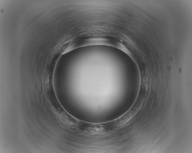 X0000062930552200601131514