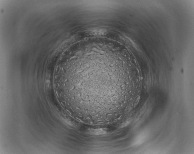 X0000062930553200601131514