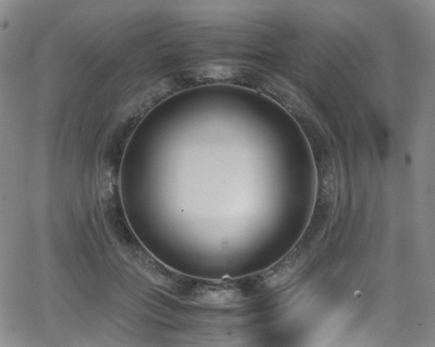 X0000062930555200601131514