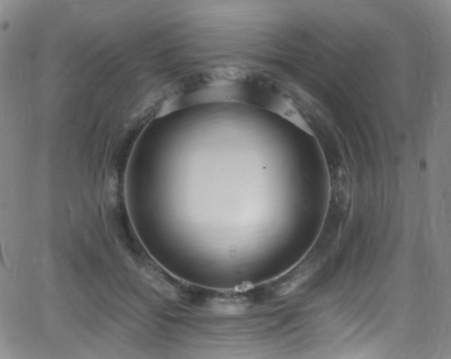 X0000062930556200601131514