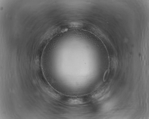 X0000062930557200601131514