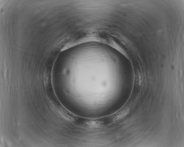 X0000062930558200601131514