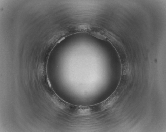 X0000062930560200601131514