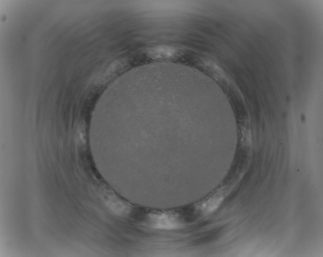 X0000062930561200601131514