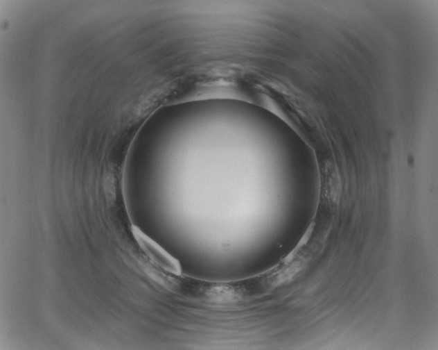 X0000062930562200601131514