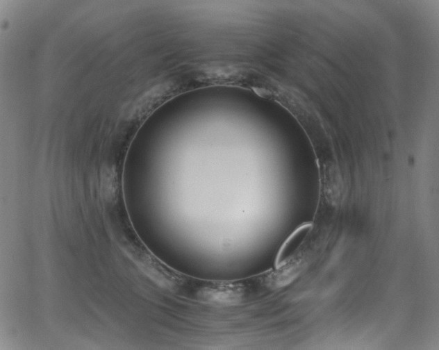 X0000062930563200601131514