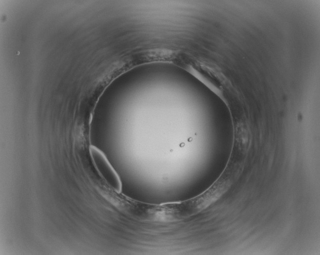 X0000062930564200601131514