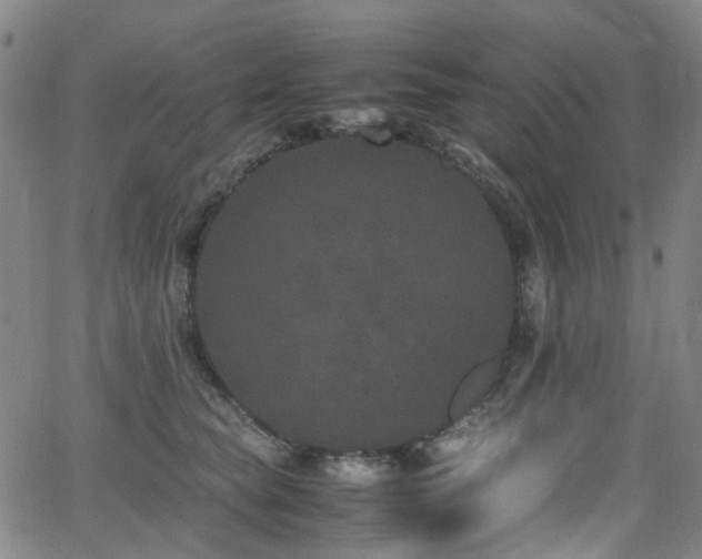 X0000062930565200601131514