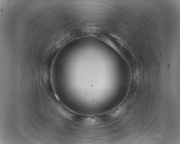 X0000062930566200601131514