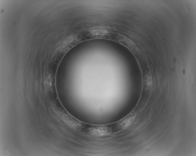 X0000062930567200601131514