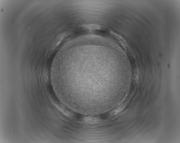 X0000062930568200601131514