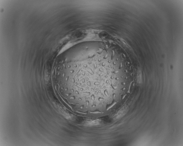 X0000062930569200601131514