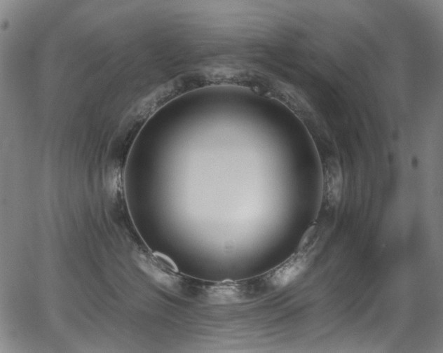 X0000062930574200601131514