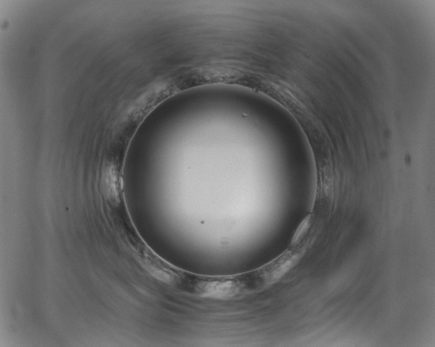 X0000062930575200601131514