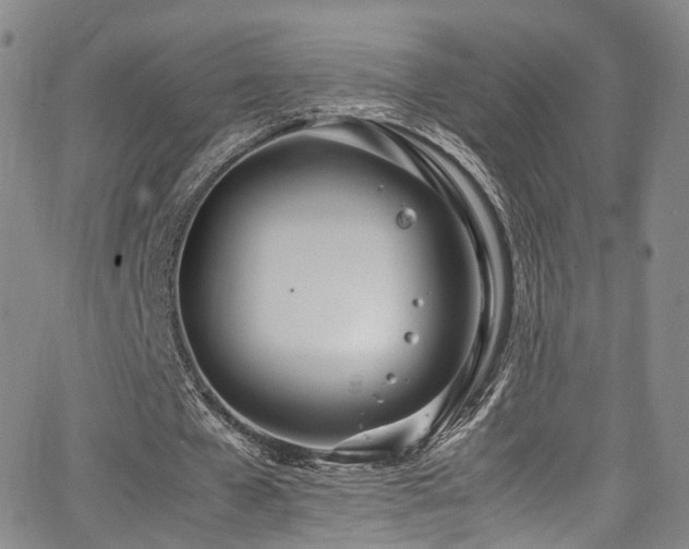 X0000062930577200601131514