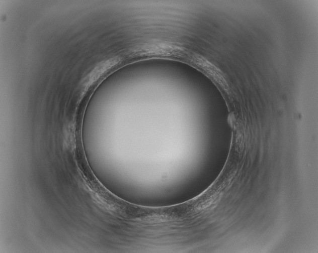 X0000062930578200601131513