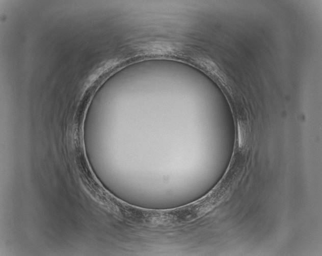 X0000062930579200601131513