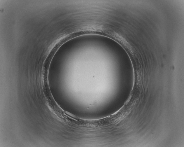 X0000062930580200601131513