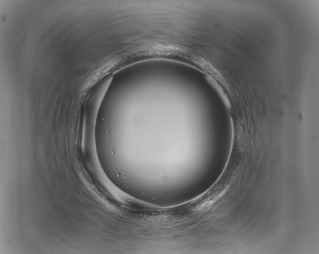 X0000062930581200601131513