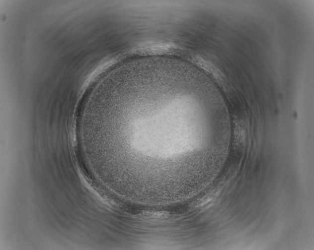 X0000062930582200601131513