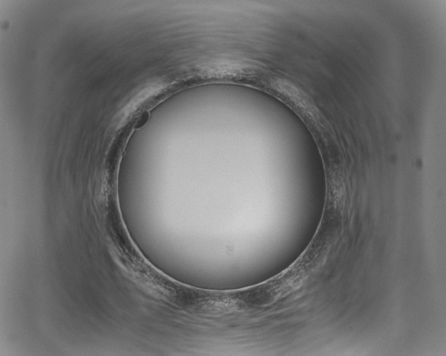 X0000062930583200601131513