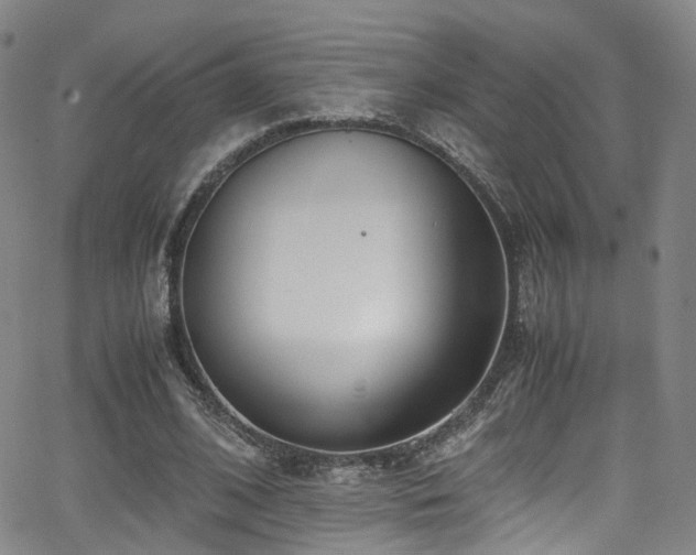 X0000062930584200601131513