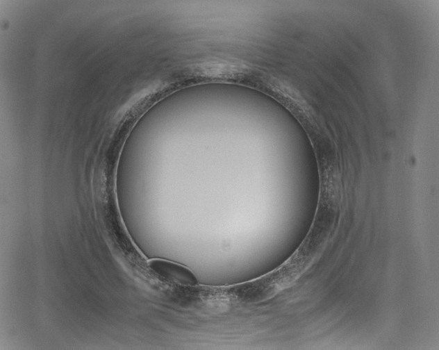 X0000062930587200601131513