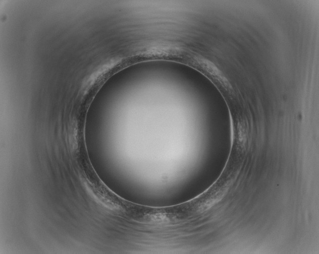 X0000062930588200601131513