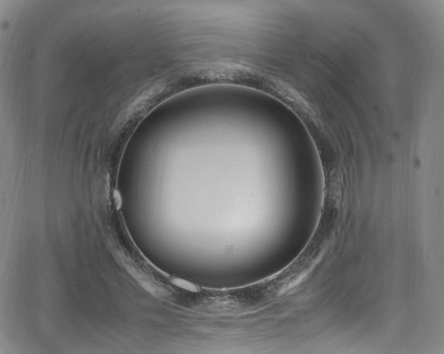 X0000062930589200601131513