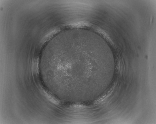 X0000062930590200601131513