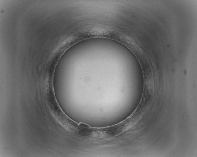 X0000062930591200601131513