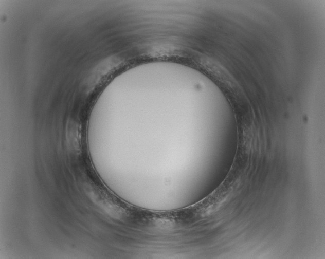 X0000062930592200601131513