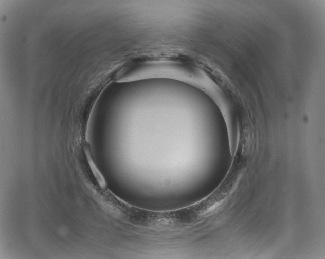 X0000062930593200601131513