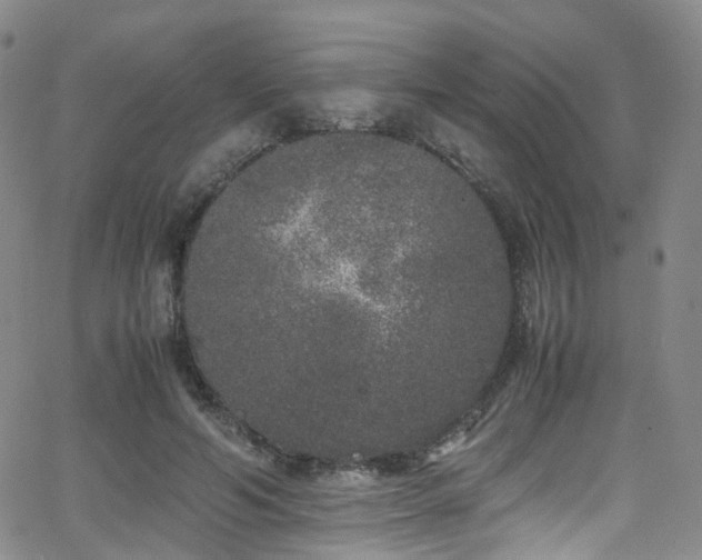 X0000062930594200601131513