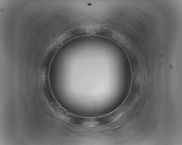 X0000062930595200601131513