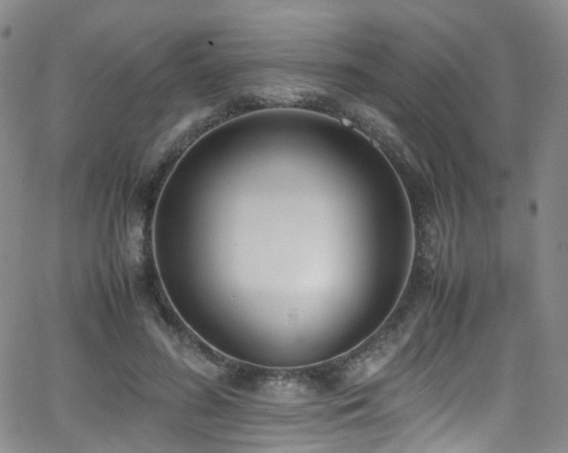 X0000062930596200601131513