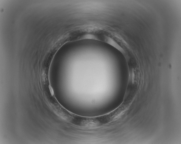 X0000062930597200601131513