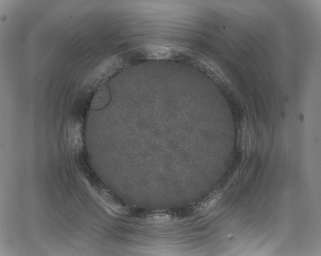 X0000062930598200601131513