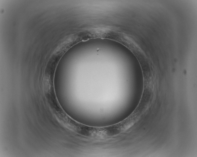 X0000062930599200601131513