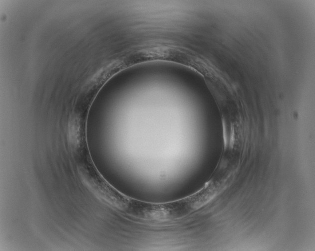 X0000062930600200601131513