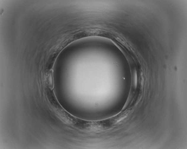 X0000062930601200601131513